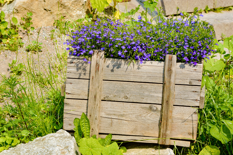 Transforming Packaging and Cardboard Disposal into Environmental Wins
